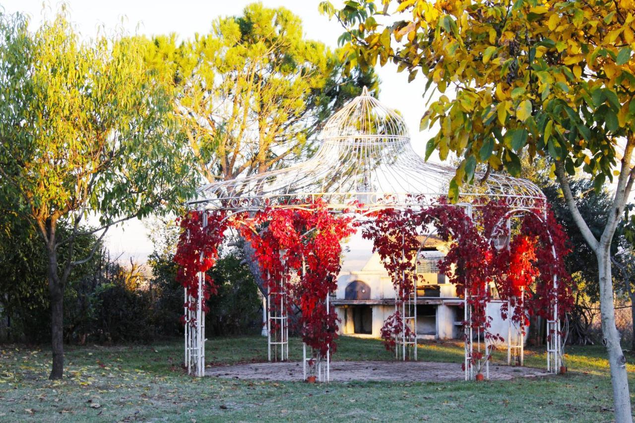 Con Piscina E Giardino A *